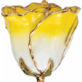 Forever® Rose 24K Gold Trimmed Cream and Yellow Rose - Roxx Fine Jewelry