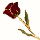 Forever® Rose 24K Gold Trimmed Burgundy Cabernet Rose - Roxx Fine Jewelry