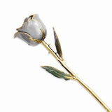 Forever® Rose 24K Gold Trimmed Long Stemmed Rose - Roxx Fine Jewelry