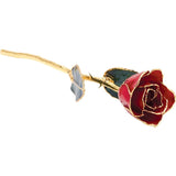 Forever® Rose 24K Gold Trimmed Long Stemmed Rose - Roxx Fine Jewelry