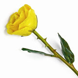 Forever® Rose Real Long Stemmed Lacquered Rose - Roxx Fine Jewelry
