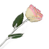 Forever® Rose Pink and Cream Rose Trimmed in Sterling Silver - Roxx Fine Jewelry