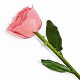 Forever® Rose Real Long Stemmed Lacquered Rose - Roxx Fine Jewelry