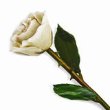 Forever® Rose Real Long Stemmed Lacquered Rose - Roxx Fine Jewelry