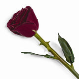 Forever® Rose Real Long Stemmed Lacquered Rose - Roxx Fine Jewelry