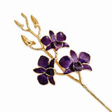 Forever® Orchid Trimmed in 24K Yellow Gold - Roxx Fine Jewelry