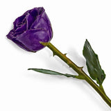 Forever® Rose Real Long Stemmed Lacquered Rose - Roxx Fine Jewelry