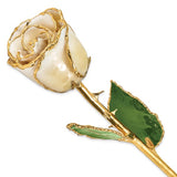 Forever® Rose 24K Gold Trimmed Long Stemmed Rose - Roxx Fine Jewelry