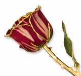 Forever® Rose 24K Gold Trimmed Long Stemmed Rose - Roxx Fine Jewelry