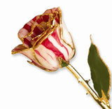 Forever® Rose 24K Gold Trimmed Long Stemmed Rose - Roxx Fine Jewelry