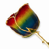 Forever® Rose 24K Gold Trimmed Long Stemmed Rose - Roxx Fine Jewelry
