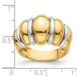Two-Tone Shrimp Style Dome Ring in 14K Gold