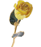 Forever® Rose 24K Gold Trimmed Long Stemmed Rose - Roxx Fine Jewelry