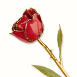 Forever® Rose 24K Gold Trimmed Long Stemmed Rose - Roxx Fine Jewelry