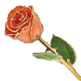 Forever® Rose 24K Gold Trimmed Long Stemmed Rose - Roxx Fine Jewelry