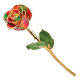 24K Gold Trimmed Aurora Neon Rainbow Rose - Roxx Fine Jewelry