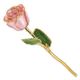 Forever® Rose 24K Gold Trimmed Pink Pearl Rose - Roxx Fine Jewelry