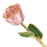 Forever® Rose 24K Gold Trimmed Pink Pearl Rose - Roxx Fine Jewelry