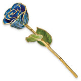 Forever® Rose 24K Gold Trimmed Blue and Black Zebra Print Rose