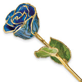 Forever® Rose 24K Gold Trimmed Blue and Black Zebra Print Rose