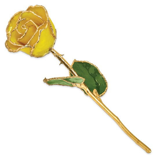 Forever® Rose 24K Gold Trimmed Bright Yellow Rose