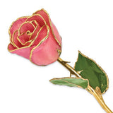 Forever® Rose 24K Gold Trimmed Pink Passion Rose - Roxx Fine Jewelry