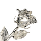 Forever® Rose Platinum-Plated Fully Dipped