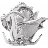 Forever® Rose Platinum-Plated Fully Dipped