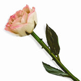 Forever® Rose Real Long Stemmed Lacquered Rose - Roxx Fine Jewelry