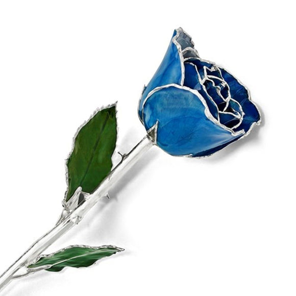 Forever® Rose Blue Peacock Rose Trimmed in Sterling Silver - Roxx Fine Jewelry