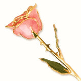 Forever® Rose 24K Gold Trimmed Pink Passion Rose - Roxx Fine Jewelry