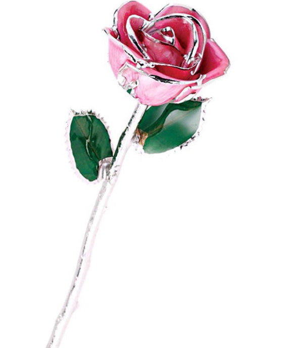 Forever® Rose Pink Ballet Rose Trimmed in Platinum - Roxx Fine Jewelry