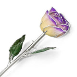 Forever® Rose Lilac and Cream Rose Trimmed in Sterling Silver - Roxx Fine Jewelry