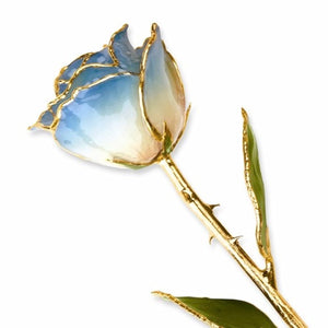 Forever® Rose 24K Gold Trimmed Blue Sky Rose - Roxx Fine Jewelry