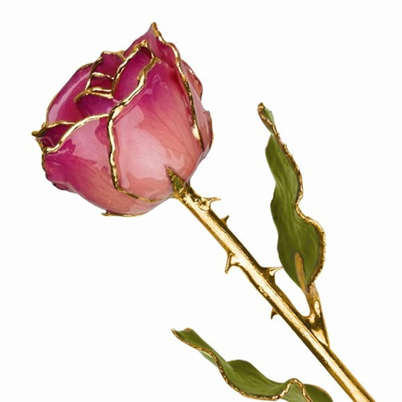 Forever® Rose 24K Gold Trimmed Pink Picasso Rose - Roxx Fine Jewelry