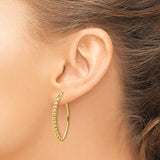 Beaded Oval Hoop Earrings in 14K Yellow Gold