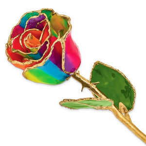Forever® Rose 24K Gold Trimmed Aurora Neon Rainbow Rose - Roxx Fine Jewelry