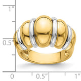 Two Tone Shrimp Style Dome Ring in 14K Gold