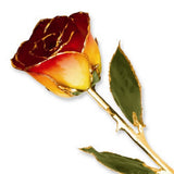 Forever® Rose 24K Gold Trimmed Long Stemmed Rose - Roxx Fine Jewelry