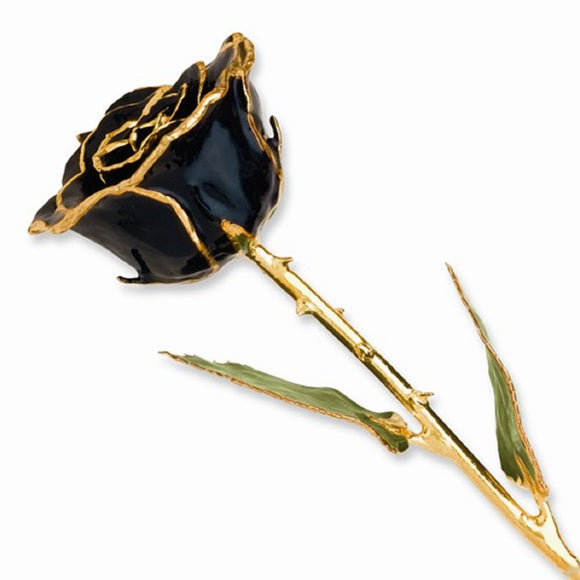 Forever® Rose 24K Gold Trimmed Black Midnight Rose - Roxx Fine Jewelry